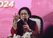 Ketum PDIP Megawati Kritik Pemerintahan Jokowi, Staf Khusus Presiden dari UGM Ini Bilang Begini